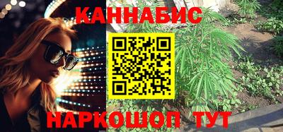 jwh Новозыбков